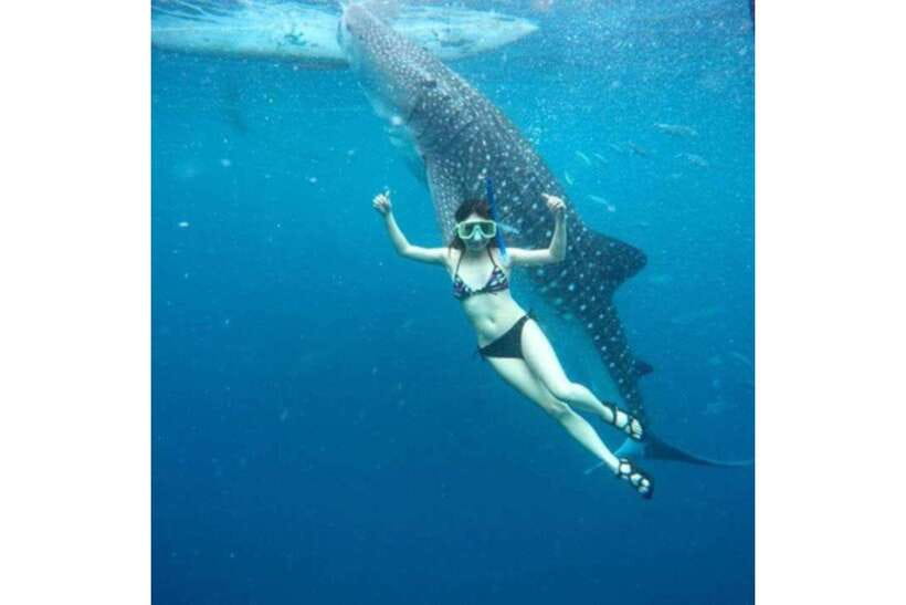 Cebu:Whale Shark, Waterfall, and Sardine Run Group Tour+Meal - Transfers and the Real Benefit of an Attentive Guide (Jason)