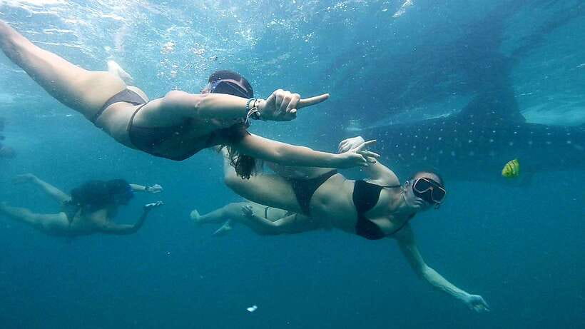 Cebu: Whale Sharks, Ka-Treasure Water Terraces & Simala Tour - 12-14 Hours, 2 AM Pickup: How the Day Actually Works
