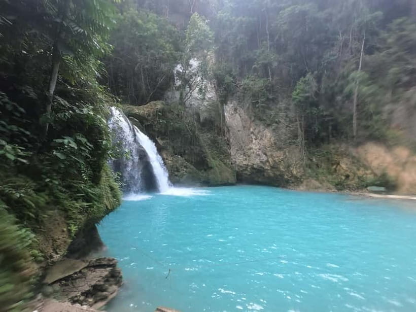 Cebu: Whale Sharks, Kawasan Falls, & Sardines Run Snorkeling - Key moments I’d circle on your Cebu checklist