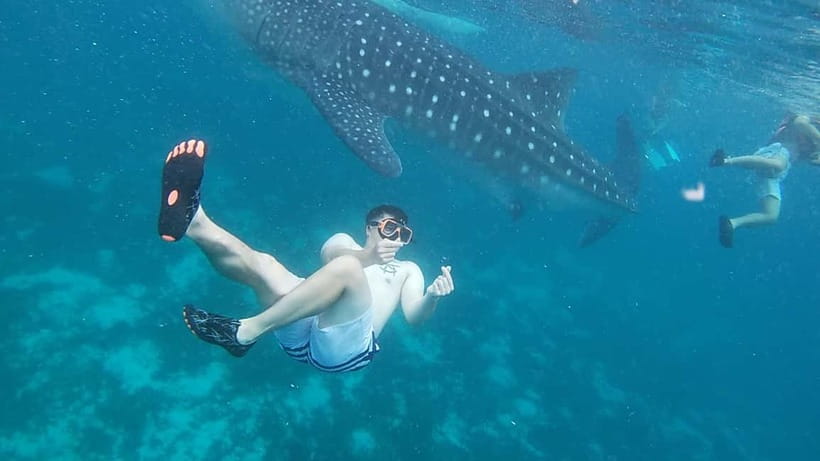 Cebu: Whale Sharks, Kawasan Falls, & Sardines Run Snorkeling - Kawasan Falls: the trek, the turquoise swim, and the best kind of reset