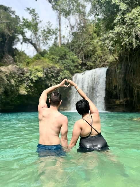 Cebu: Whale Sharks, Kawasan Falls, & Sardines Run Snorkeling - Moalboal sardines run and sea turtles: what you actually look for