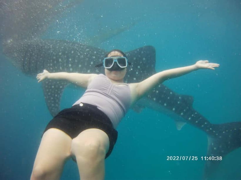 Cebu: Whale Sharks, Kawasan Falls, & Sardines Run Snorkeling - The timing and driving reality: why it feels like more than 8 hours