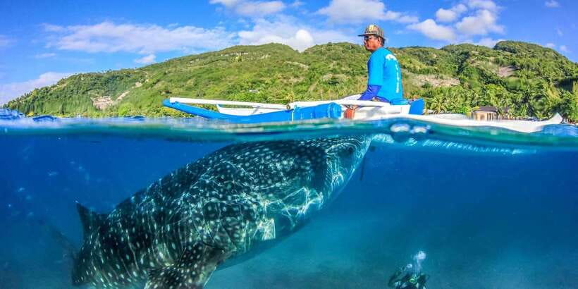 Cebu: Whale Sharks, Tumalog Falls, and Monkey Sanctuary Tour - Tumalog Falls: swimming at the curtain-like cascade