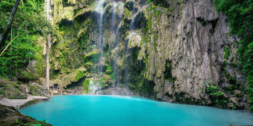 Cebu: Whale Sharks, Tumalog Falls, and Monkey Sanctuary Tour - The guide experience, from punctual pickup to smooth pacing