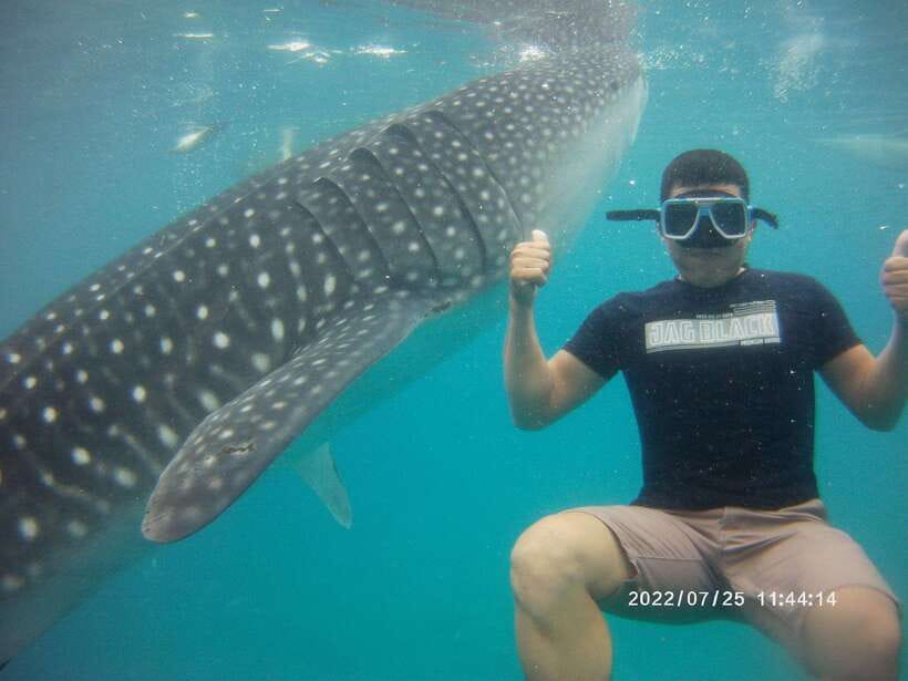 Cebu: Whaleshark Encounter, Tumalog Falls & Sumilon Sandbar - Key things I’d plan around before you go