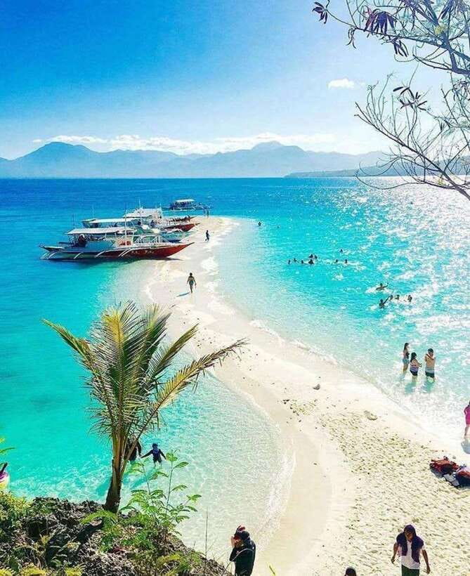 Cebu: Whaleshark Encounter, Tumalog Falls & Sumilon Sandbar - FAQ