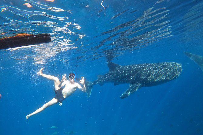 Cebu Whaleshark Tour - The 4:00 am start, then a straight run to Oslob