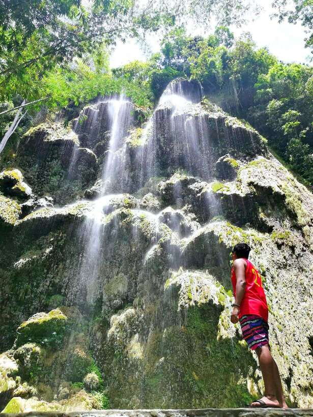 Cebu: WhaleShark , Tumalog Falls, & Sardine Run Snorkeling - Included price and what you’re really paying for at $124 per person