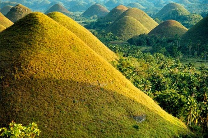 Chocolate hills tour with Tarsier & Loboc river Buffet Lunch (half-day tour) - Chocolate Hills Natural Monument: the photos are great, but bring your legs too