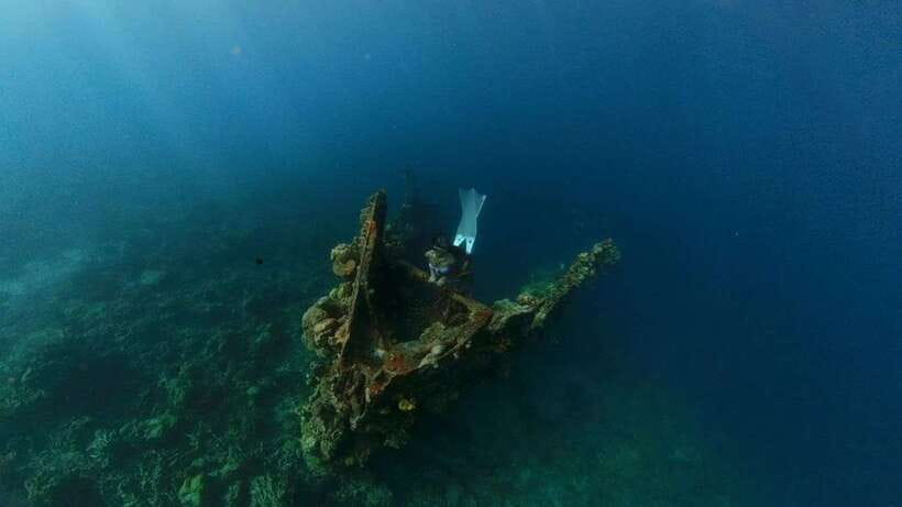 Coron: Barracuda Lake and Reef Garden Tour with Lunch - Key highlights you should care about