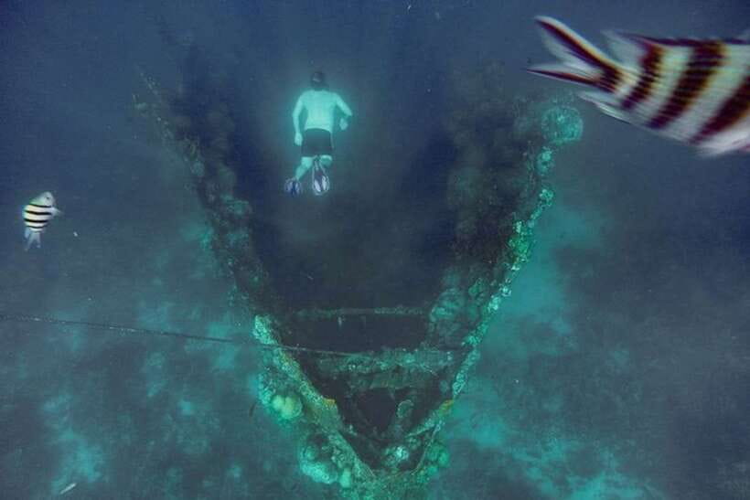 Coron: Barracuda Lake, Skeleton Wreck, Twin Lagoon Boat Tour - Skeleton Wreck at shallow depth: the snorkeling stop that sets the tone