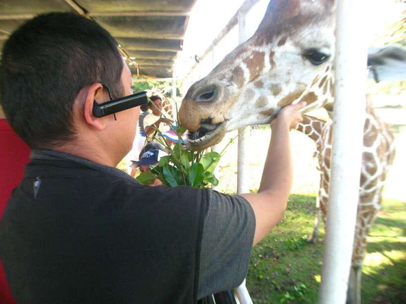 Coron: Calauit Safari Adventure - Local Wildlife Stars: Calamian Deer and the Palawan Oddballs