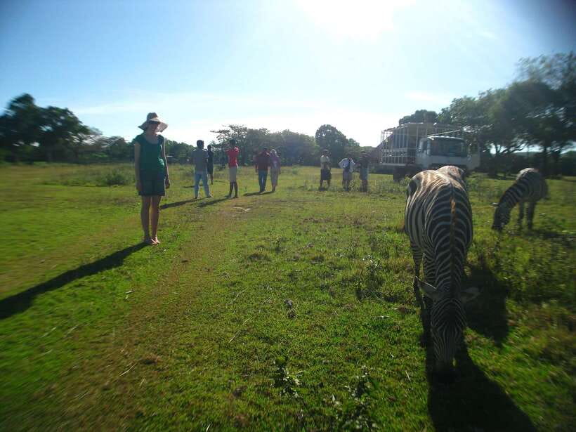 Coron: Calauit Safari Adventure - Guide and Language: How to Get More Out of the Animals