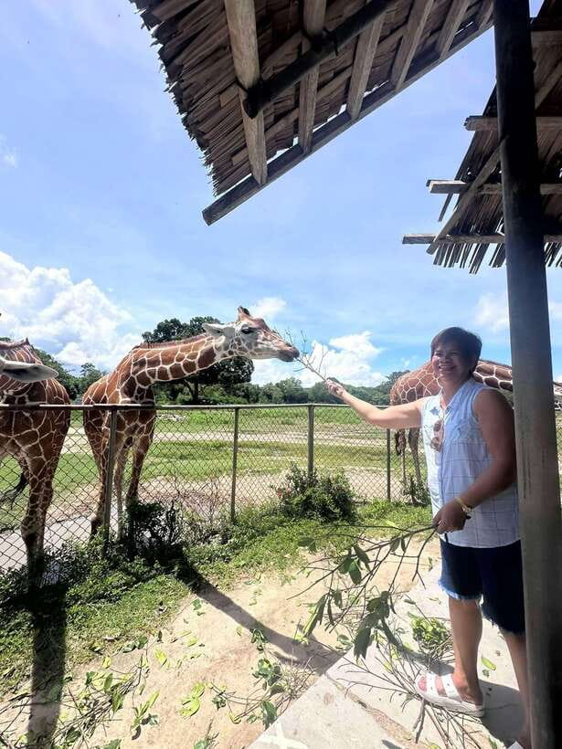 Coron: Calauit Safari Black Island Lunch & Transfer included - Black Island Panlaitan Busuanga: White Sand, Reef Drop-Off, Caves, and Cliff Jumping