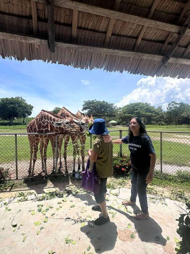 Coron: Calauit Safari Black Island Lunch & Transfer included - Price and Value: What US$94 Gets You and Where You Should Think Ahead