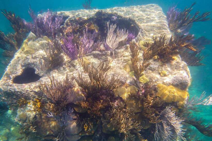 Coron: Coastal Cliffs, Beach & Malcapuya Island Hopping Tour - Bulog Dos Island, The Quieter Photo Stop and Swimming Break