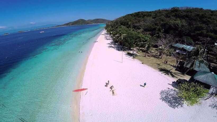 Coron: Complete Island Hopping Guided Tour with Lunch - Reef Garden: corals and tropical fish, close to the surface