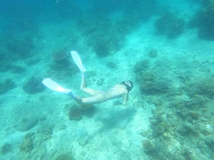 Coron: Dugong Watching with Sea Turtle and Coral Garden tour - Key Things That Make This Tour Worth Your Time