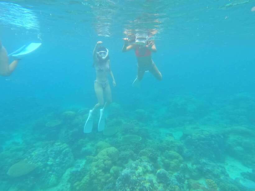 Coron: Dugong Watching with Sea Turtle and Coral Garden tour - Dugong Watching in Busuanga: Why This Corals-and-Animals Day Feels Different