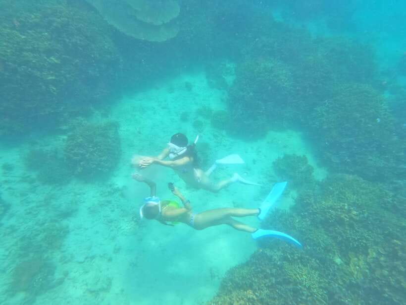 Coron: Dugong Watching with Sea Turtle and Coral Garden tour - Practical Tips That Will Make Your Day Smoother