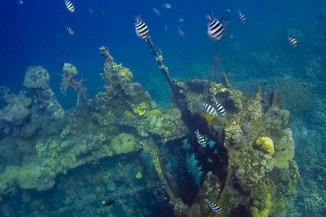 Coron Island Tour B (Private) - Coron Island Tour B: a best-of day with real swim stops