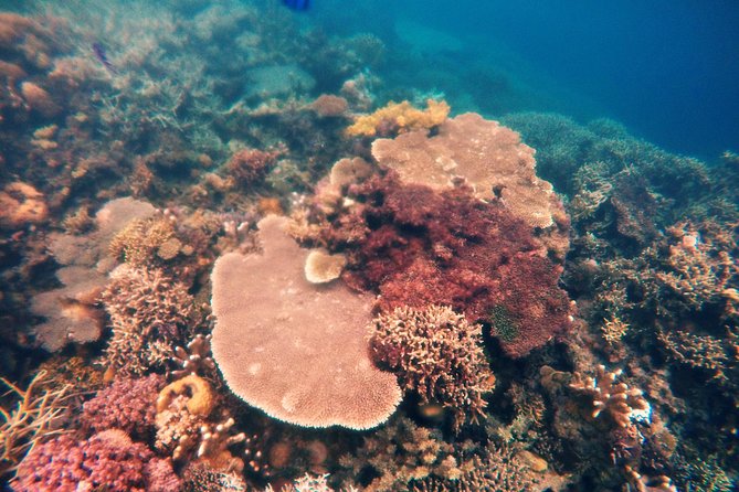 Coron Island Tour B (Shared Tour) - Entering the Calamian Archipelago loop from Coron