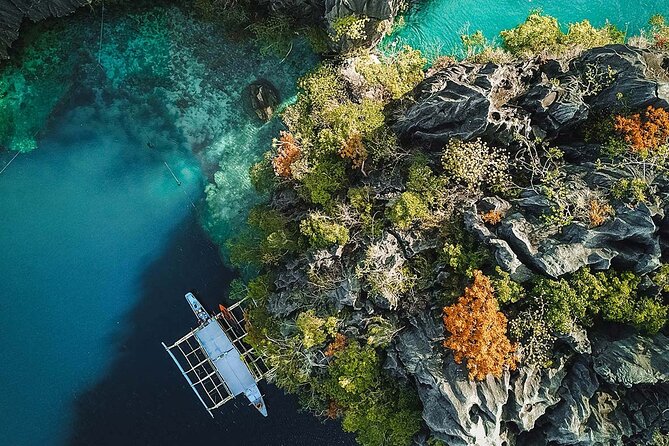 Coron Palawan Snorkeling & Island Hopping Tour (Private) - Price and logistics at about $105 per person