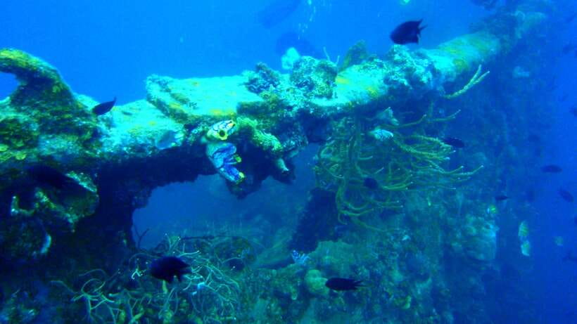 Coron Private Tour D: Reef and Wrecks - Pass Island break, the calm-water reset