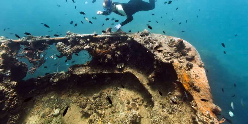 Coron Private Tour D: Reef and Wrecks - Currents and comfort: the real safety checklist before you go