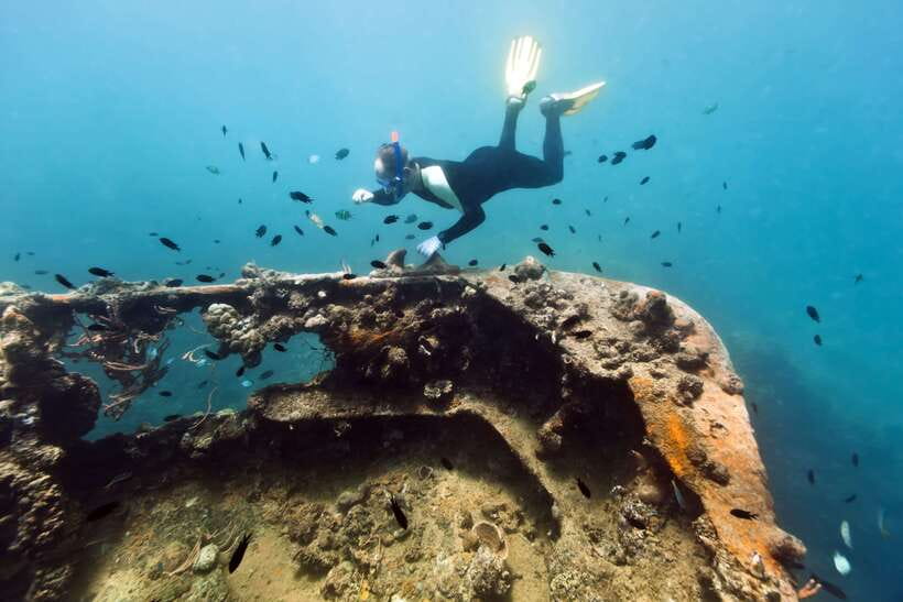 Coron Private Tour D: Reef and Wrecks - Price and logistics for a private 8-hour wreck route