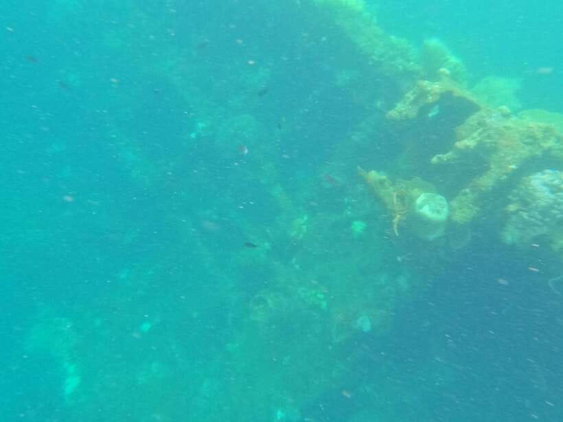 CORON:REEF AND WRECK - 2 JAPANESE WRECK AND PASS ISLAND TOUR - Lusong Coral Garden: where current helps you glide (and where you should watch your limits)