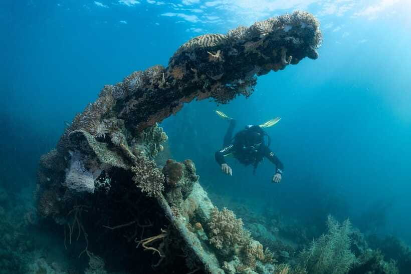 Coron Reef and Wrecks Tour (Private Tour) - East Tangat wreck: why it’s recommended for beginners
