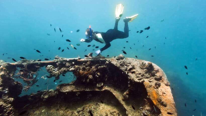 Coron Reef and Wrecks Tour (Private Tour) - The 8-hour flow: from pickup to wreck snorkeling and reef time