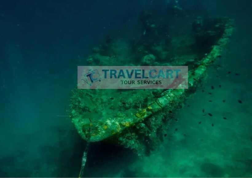 Coron Reef & Wrecks Tour - Lusong Gunboat: WWII wreck snorkeling with fish habitat vibes
