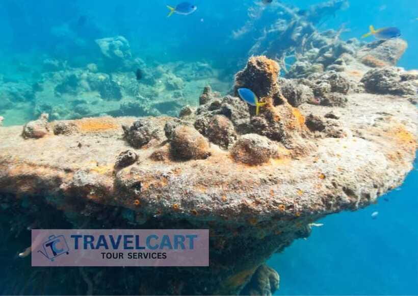 Coron Reef & Wrecks Tour - Lusong Coral Garden plus lunch: where the day clicks for many people