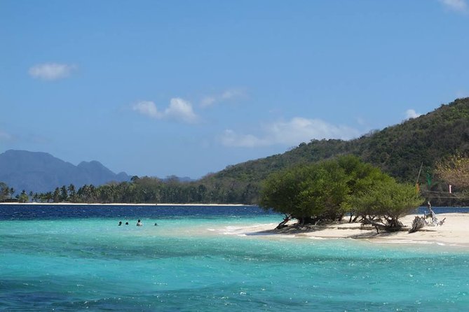 Coron Reefs & Wreck Tour (Shared Tour) - Coron Reefs and WWII Wrecks, in One Shared 8-Hour Tour