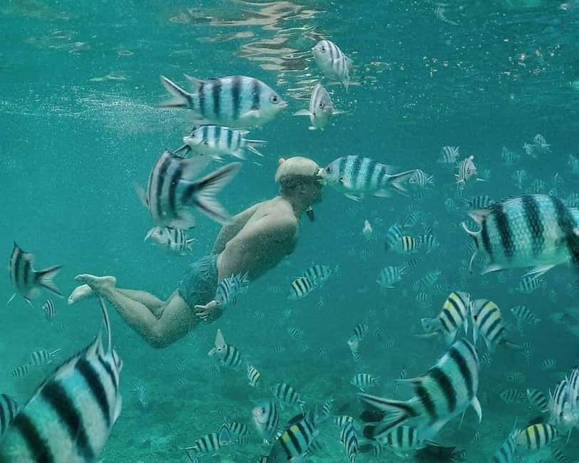 Coron: Super Ultimate 7 Destination with Lunch & Transfer - Snorkeling gear and costs: save money, save time