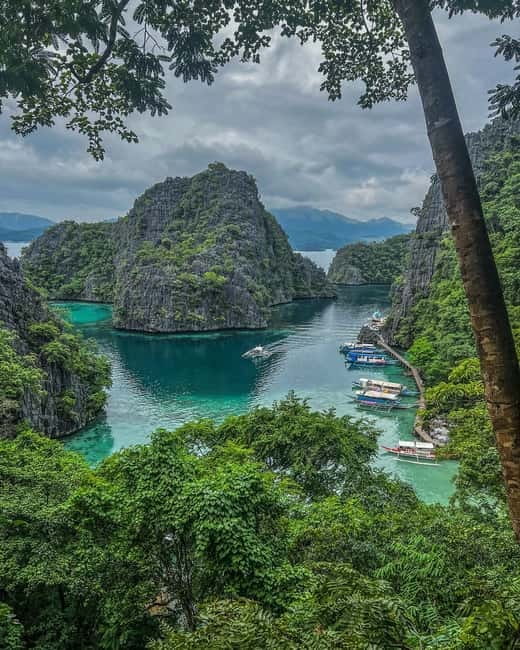 Coron: Super Ultimate 7 Destination with Lunch & Transfer - Twin Peaks Coral Garden: reef time for breath-hold and cameras