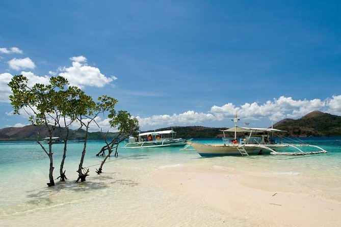 Coron Ultimate Tour (Shared Tour) - Kayangan Lake: your first big “wow” swim