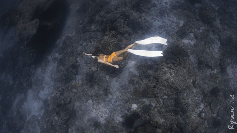 Discover Freediving in Boracay - Price value: is $57 for 2 hours worth it?