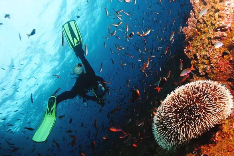 Discover Scuba Diving in Boracay - Who should think twice before booking