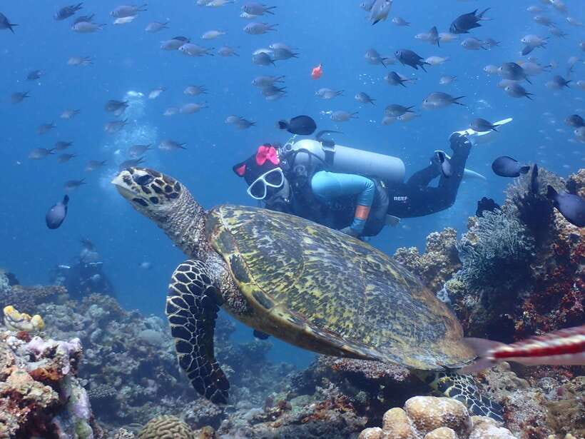 Discover Scuba Diving in Boracay - Gear, wetsuit fit, and getting comfortable fast