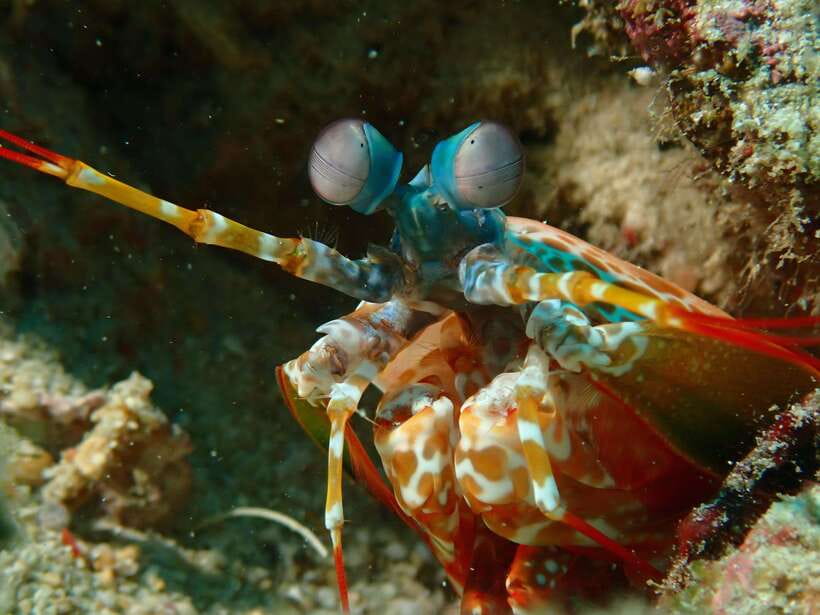 Discover Scuba Diving in Boracay - The meeting point at White Beach, and how to arrive with zero stress
