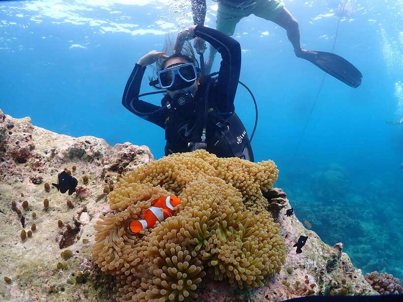 Discover Scuba Diving in Boracay - Who this course fits best in Boracay
