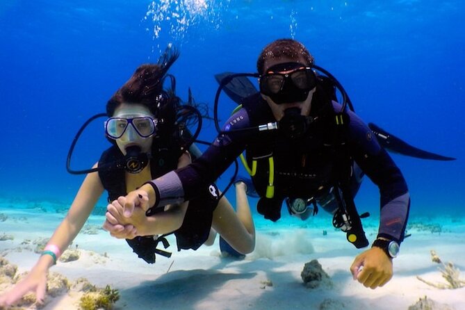 Discover Scuba diving in El Nido - Key Highlights You’ll Actually Care About