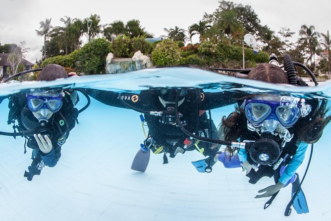 Discover Scuba Diving - The training flow: video, equipment fitting, and learning the basics fast