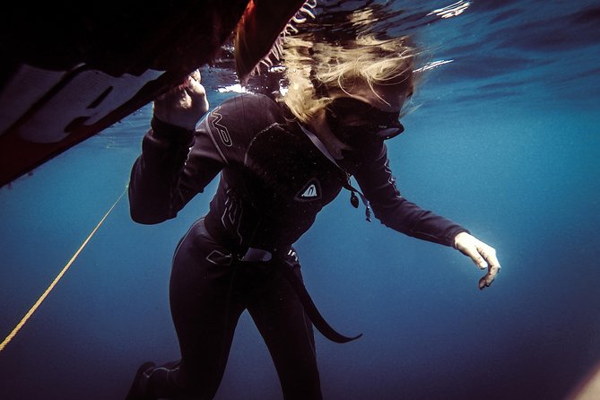 Discovery Freediving Program - What You Can See Off Panglao and Why It Matters for Beginners