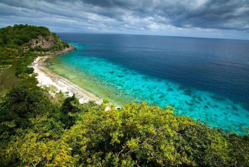 Dumaguete Apo Island with Turtle Snorkeling - Getting From Dumaguete to Apo Island, and Why Timing Matters