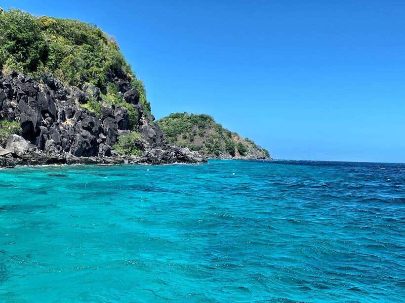Dumaguete Apo Island with Turtle Snorkeling - Island Lunch: Simple, Included, and Enough for a Water-Heavy Day