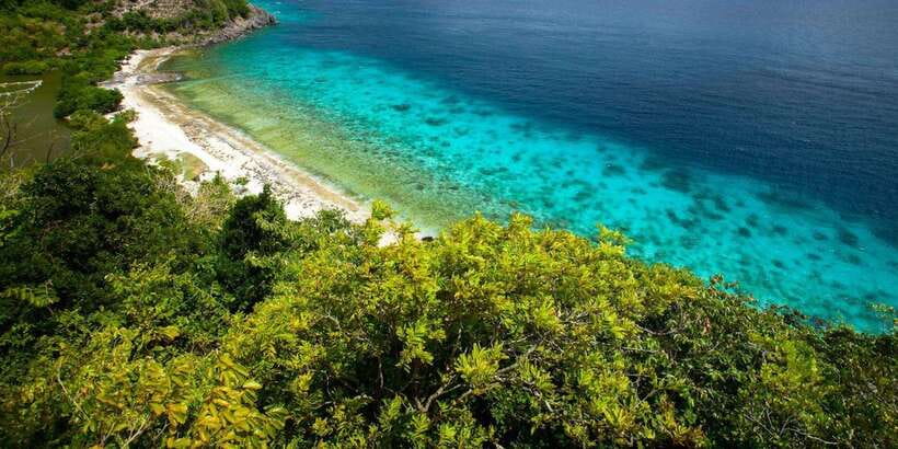 Dumaguete Apo Island with Turtle Snorkeling - Price and Value: What $131 Covers and What Adds On
